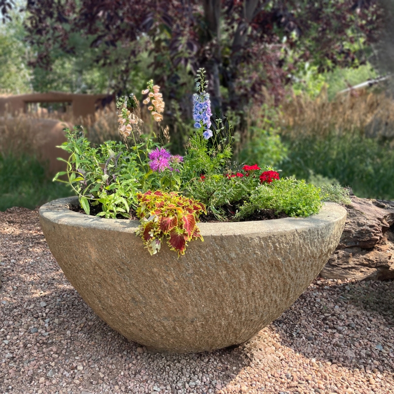 Bowl Planter Organic Pitted Texture Rustic Style, Earthy Decor