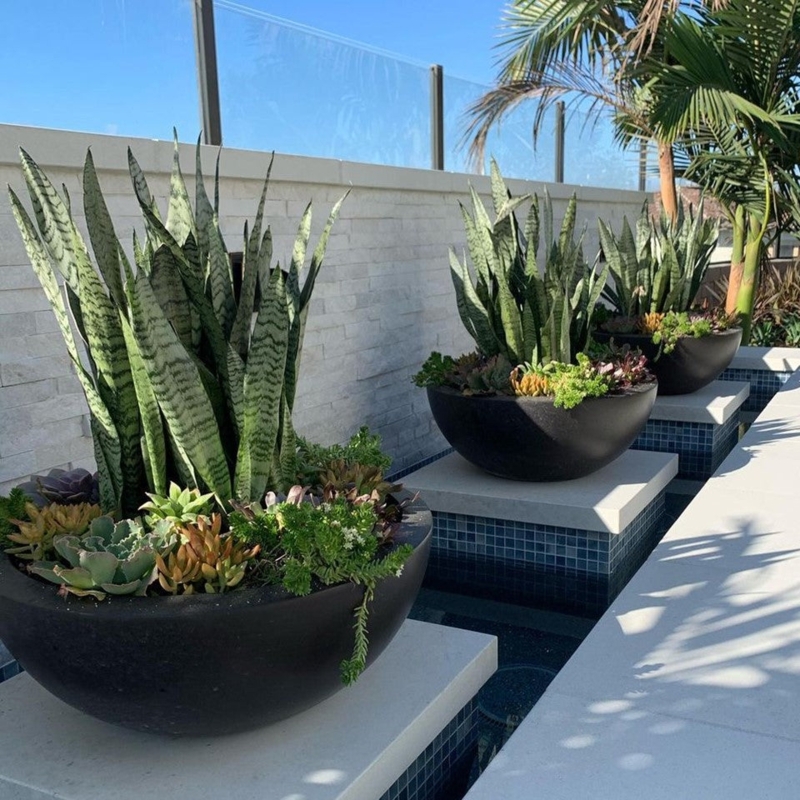 Bowl Planter Weathered Stone Finish Low Profile Minimalist Style