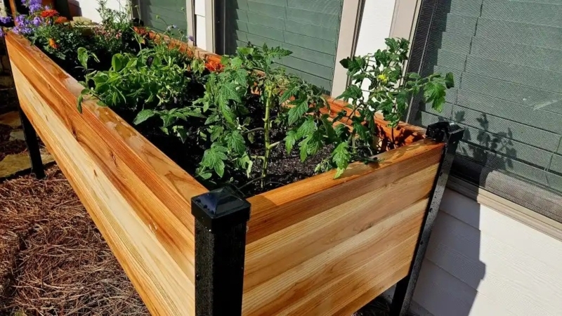 Cedar Raised Garden Bed, Extra Long. Elevated cedar garden bed.