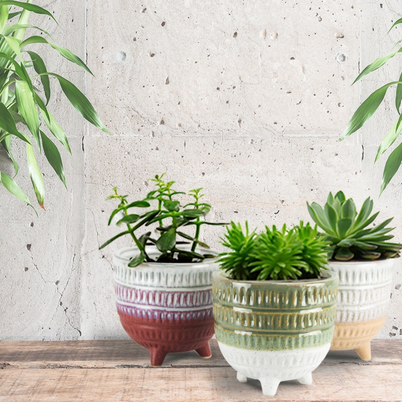 Ceramic Planter with Pitted Texture, Rustic Terracotta Succulent Pot