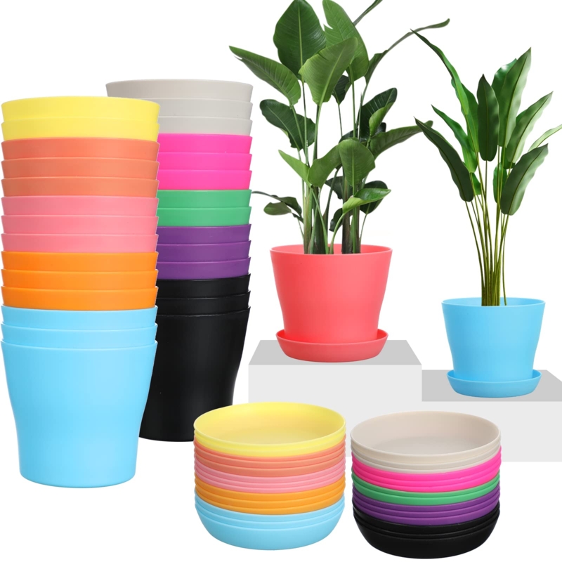 Colorful Nursery Pot Set with Matching Saucers for Indoor Seedlings