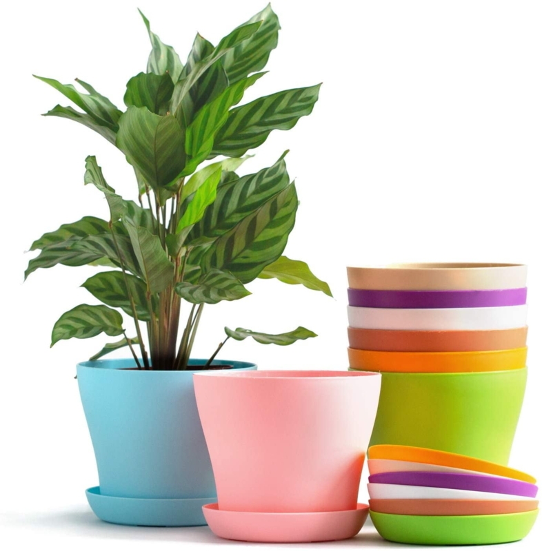Colorful Succulent Planter Set Pastel Tones with Matching Saucers