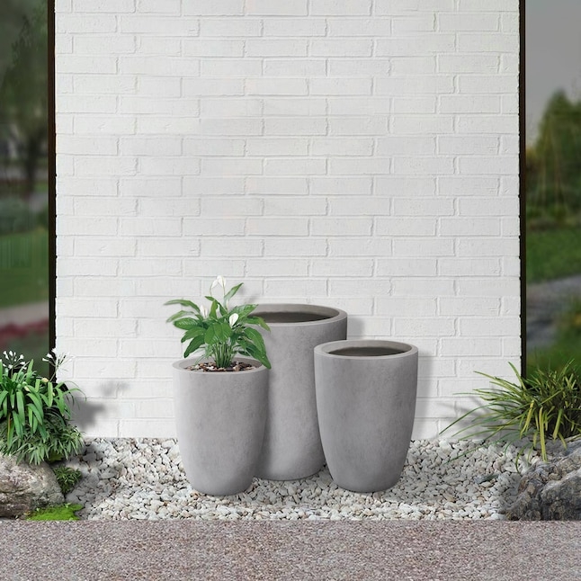 Concrete Planter Set Staggered Heights Round Base Pitted Texture
