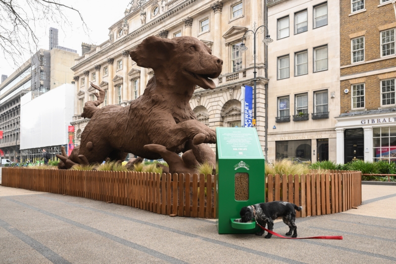Contemporary Sculpture Giant Outdoor Dog With Soil Like Texture