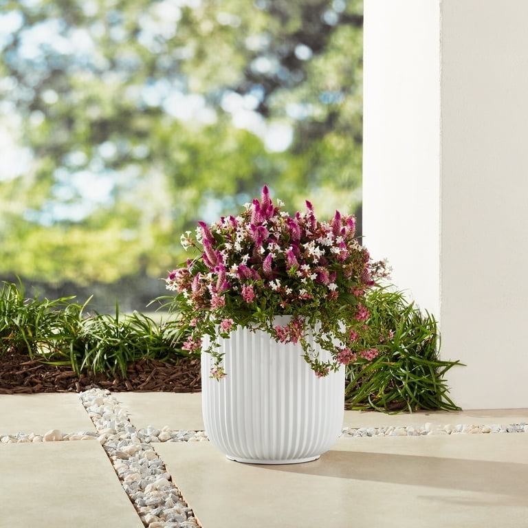 Cylindrical Planter Textured Horizontal Grooves White Resin Modern Boho