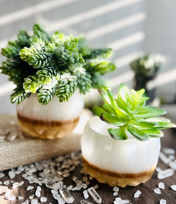 Decorative Bowl Set, Frosted White with Sand Gradient Base