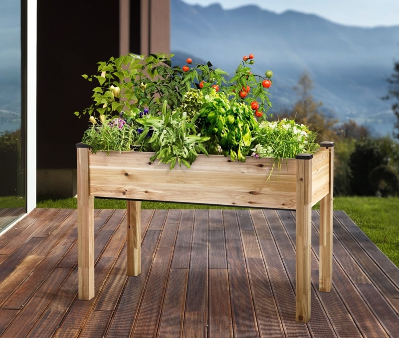 Elevated Planter Self-Watering Cedar Box for Small Space Deck Gardening