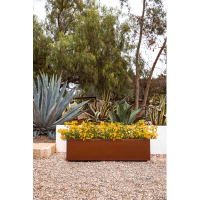Extra Wide Planter Box, Corten Steel Look. Rustic metal trough for patio.