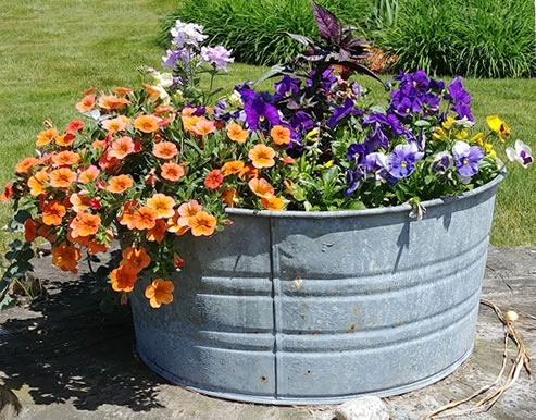 Farmhouse Wash Tub Plant Display Round Metal