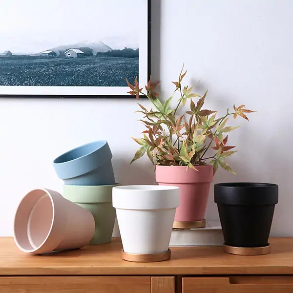 Flower Pot Set Neutral Grayscale Palette Minimalist Ceramic Saucers