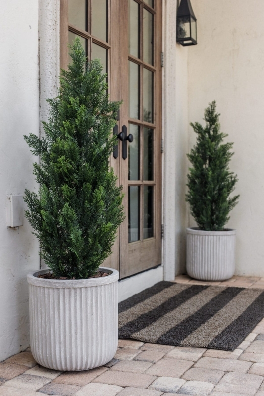 Fluted Planter, Oversized Concrete Drum Olive Tree Pot. (63 chars)