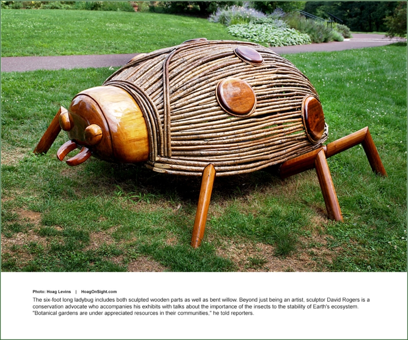 Garden Sculpture Giant Wooden Ant Monumental Scale Rustic Land Art
