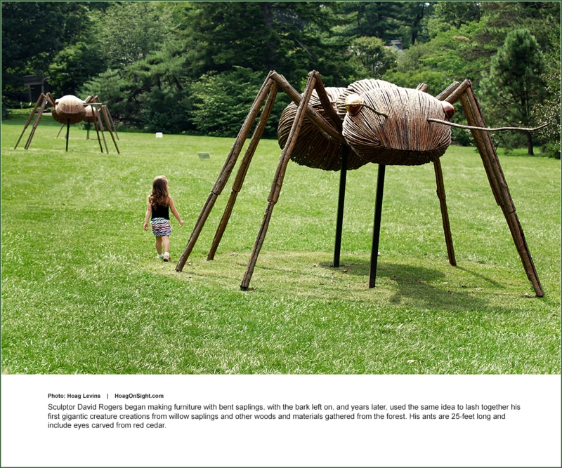 Garden Sculpture Monumental Insect Form Natural Wood Rustic Land Art