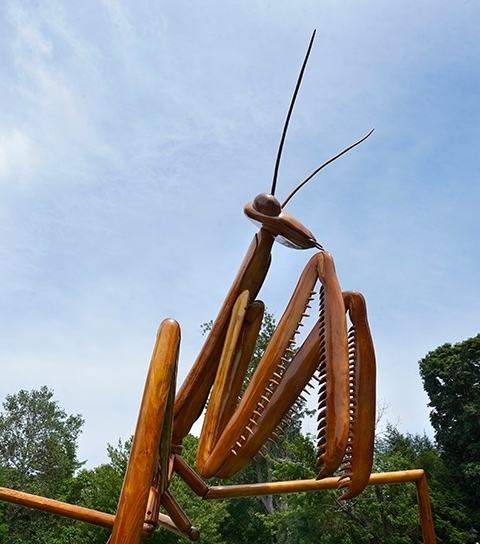 Garden Statue Giant Insect Form Intricate Joint Sculpting Rustic