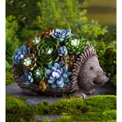 Garden Statue Hedgehog Shape Integrated Succulents Whimsical Decor