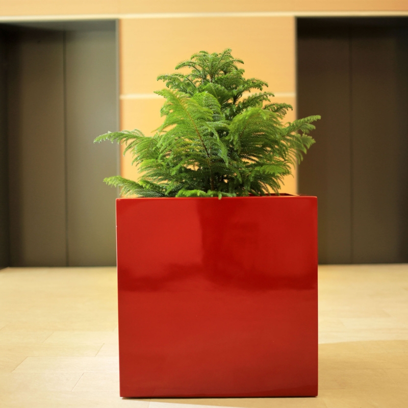 Geometric Cube Planter with Sharp Corners and Satin Finish