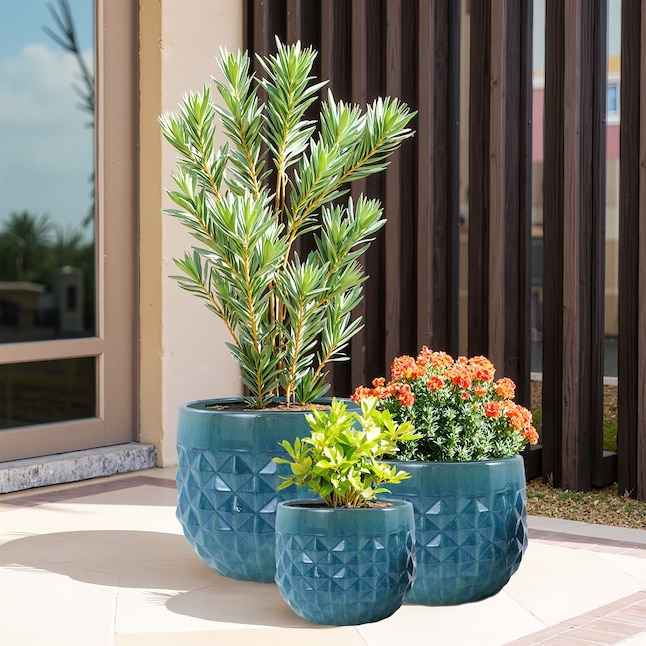 Glazed Embossed Blue Ceramic Planter Set with Botanical Motifs