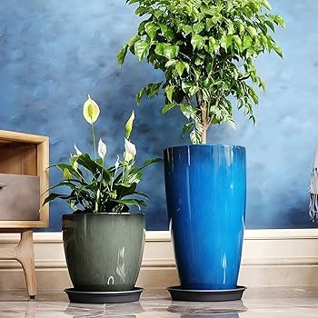 Graduated Planter Set White Tall Round Matching Saucers