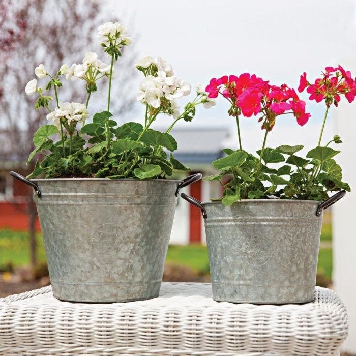 Graduated Size Zinc Planter Set with Rolled Rims