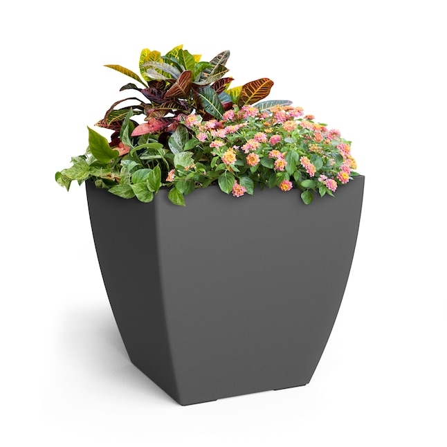 Graphite Grey Square Planter Recessed Panels Transitional