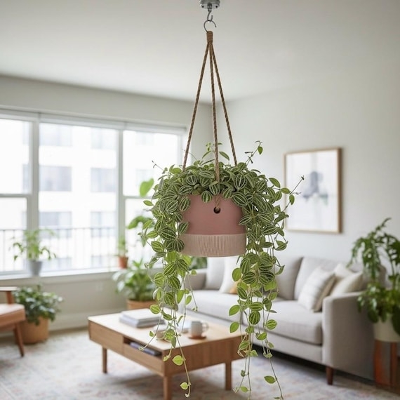 Hanging Planter Ceramic Two-Tone Pink and Beige with Natural Rope Suspension