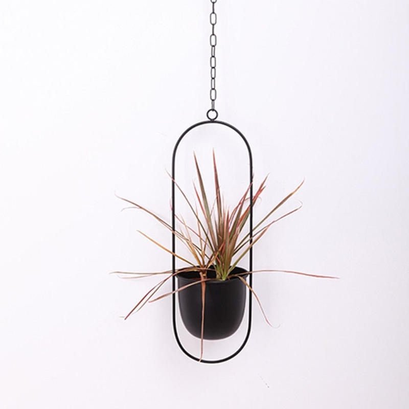 Hanging Planter Minimalist Oval Frame with Mixed Metal Finish Basin