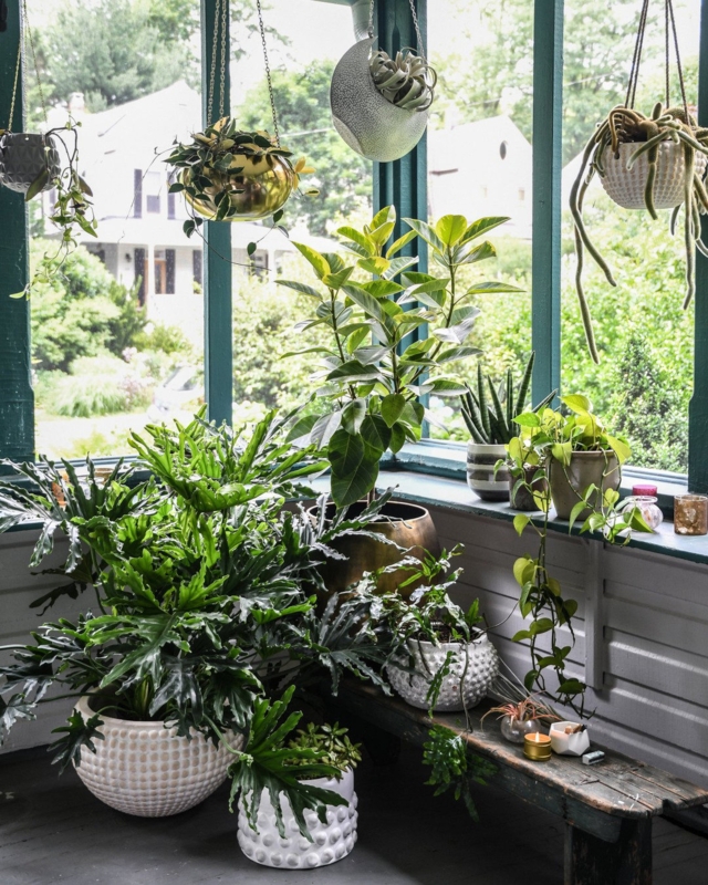 Large Indoor Planter with Rough Cast Texture and Bowl Silhouette