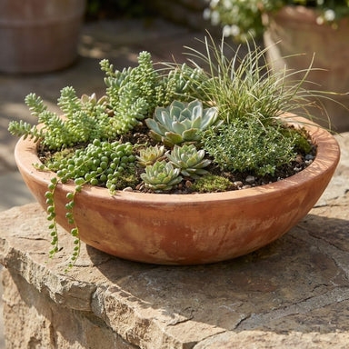 Low Bowl Planter, Wide Rim with Shallow Silhouette