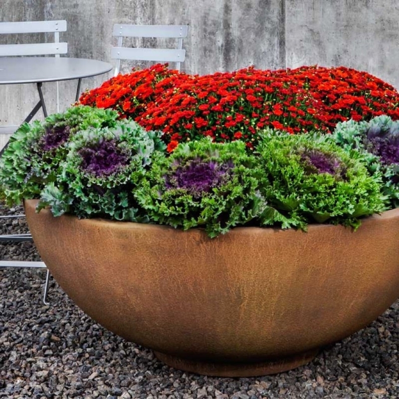 Low Concrete-Look Bowl Planter with Wide Mouth and Matte Gray Finish