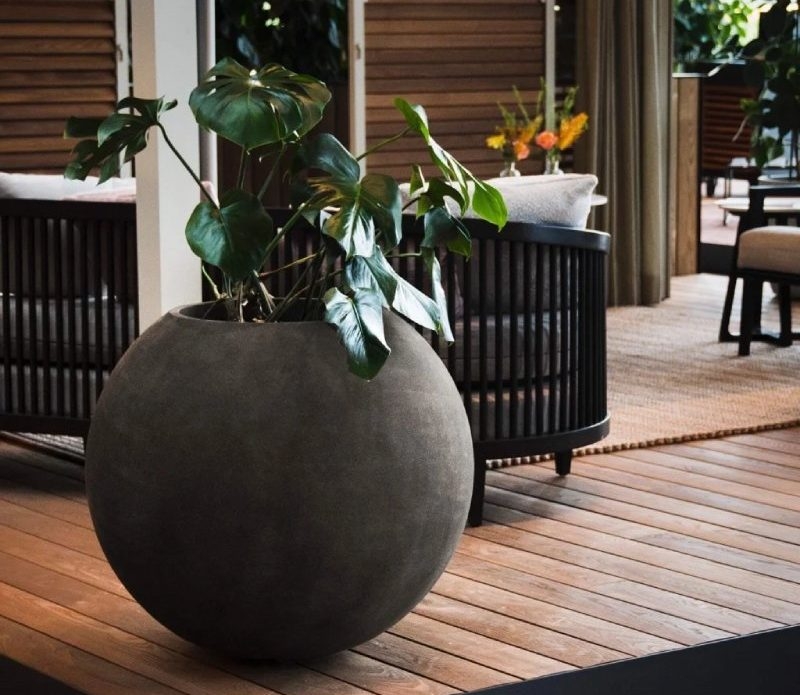 Low Profile Bowl Planters in Concrete-Like Grey, Oversized Minimalist