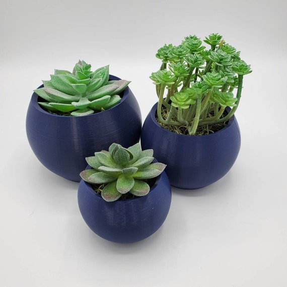 Low Profile Succulent Planter Bowl with Semi-Glossy Finish for Tabletop Decor