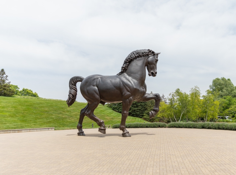 Majestic Bronze Horse Sculpture with Powerful Muscular Form in Expansive Landscape