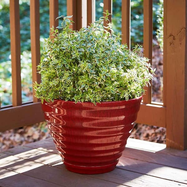 Matte Red Resin Planter with Horizontal Beehive Ribbing and Saucer