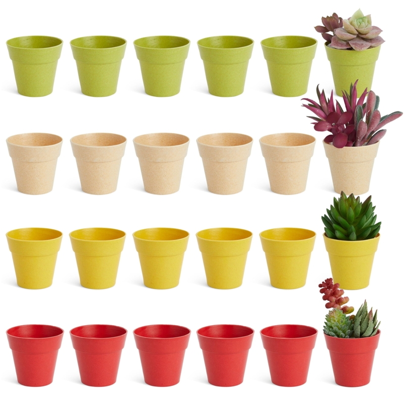 Miniature Plant Pots Multi-Color Set for Succulents Minimalist Decor