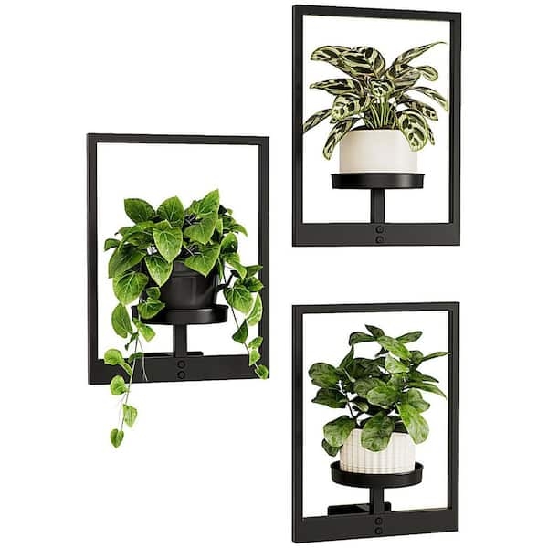 Minimalist Wall Planter Set, Matte Black Metal, Circular Open Ring