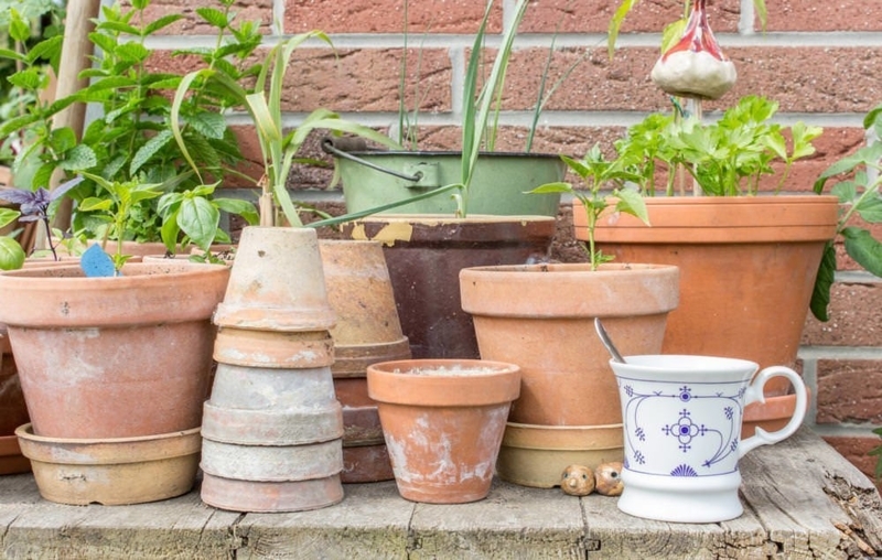 Mixed Material Outdoor Planter Grouping, Terracotta Stone.