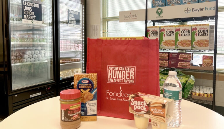 Modular School Market Setup for School Assistance Pantry Organization
