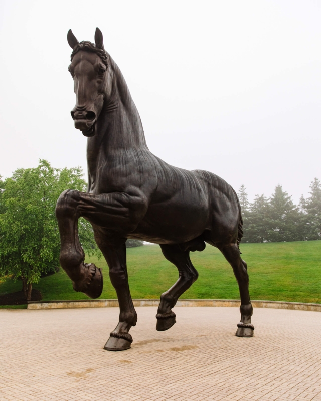 Monumental Horse Sculpture with Muscular Anatomy for Garden Landscapes