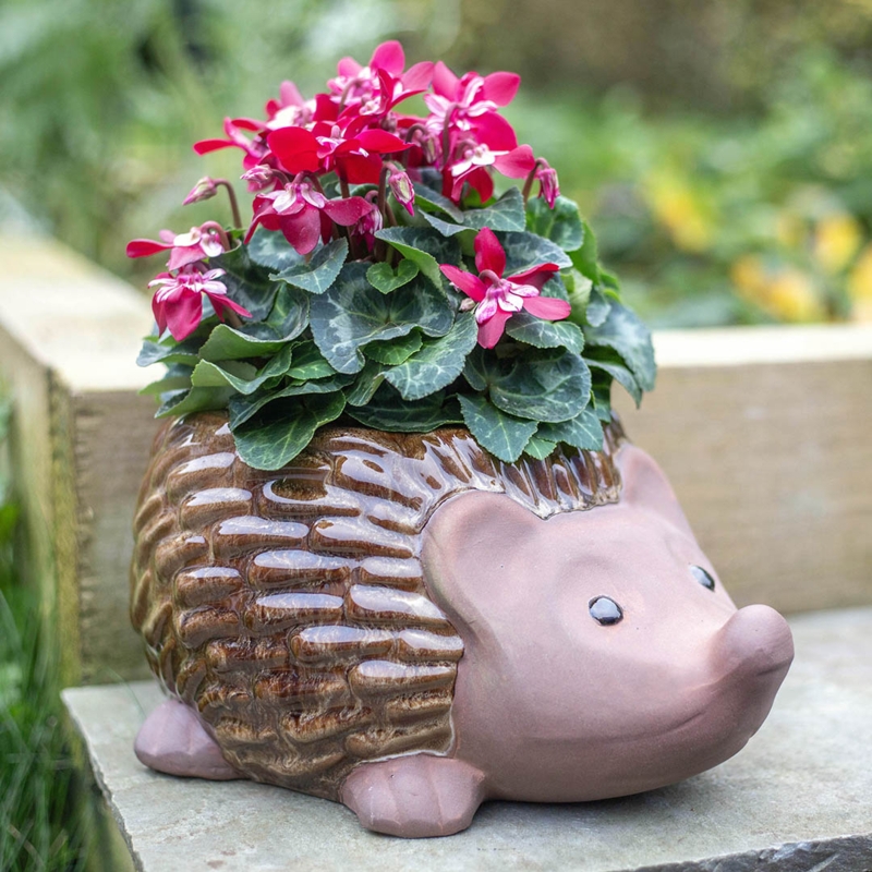 Novelty Planter, Raised Texture, Hedgehog Shape, Glossy Glazed Ceramic