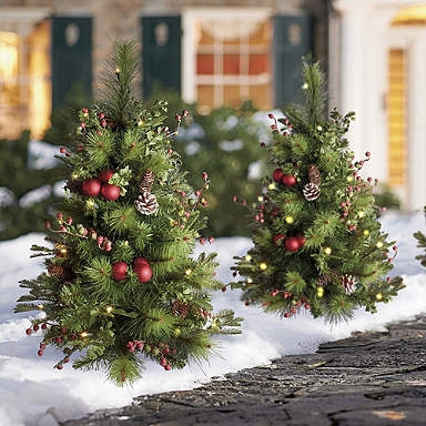 Outdoor Ornament Forest Green Illuminated Snowflake Pattern Glow