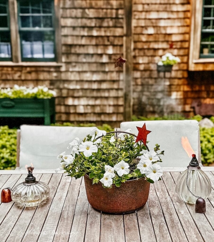 Outdoor Planter Collection, Weathered Terracotta with White Petunias (70)