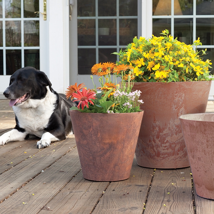Outdoor Planter Low Bowl Profile Rust Round Modern Organic Patio Decor