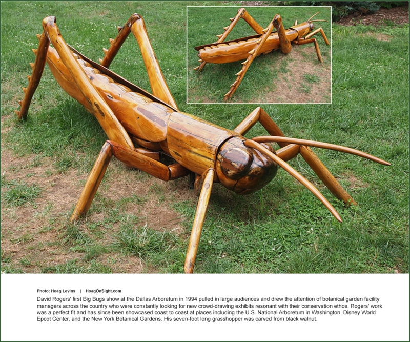 Outdoor Sculpture Oversized Insect Form Natural Material Garden