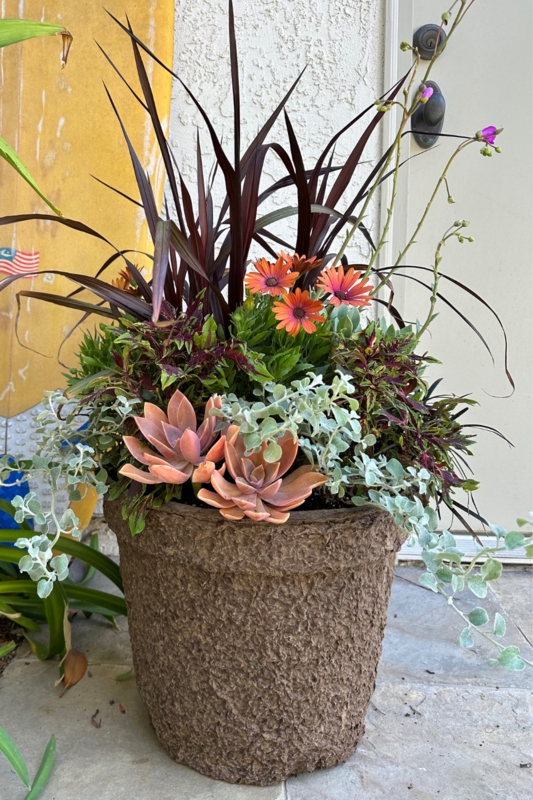 Planter Bowl Matte Charcoal Fluted Exterior with Low Profile