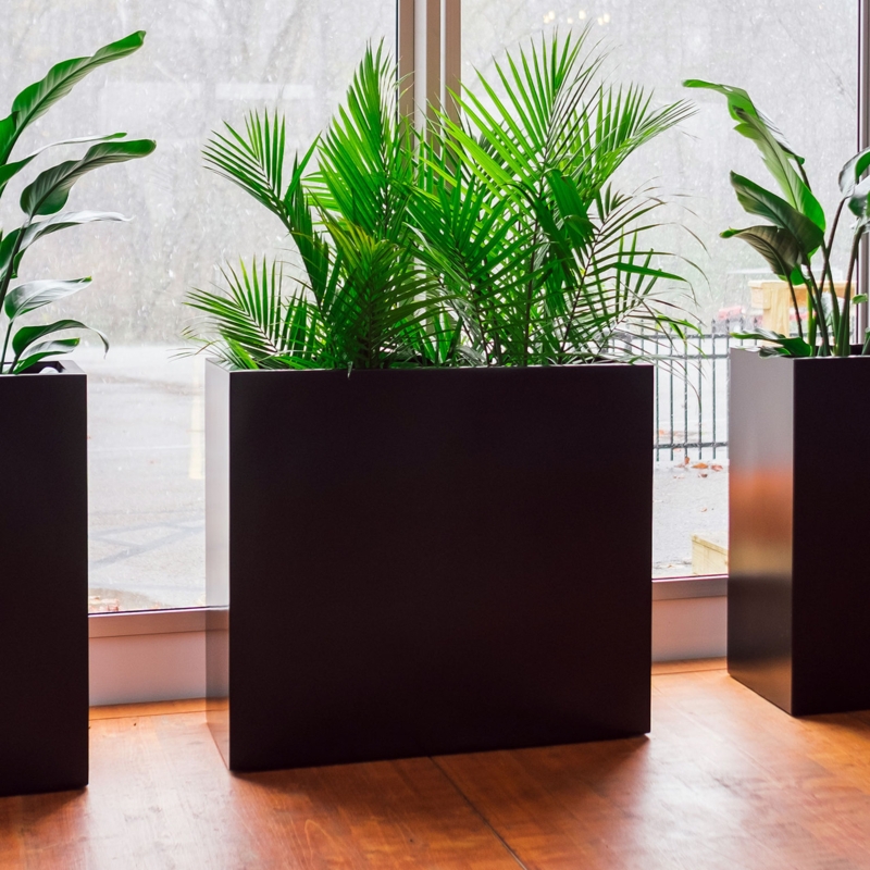 Planter Box Black Recessed Base Architectural Scale Minimalist
