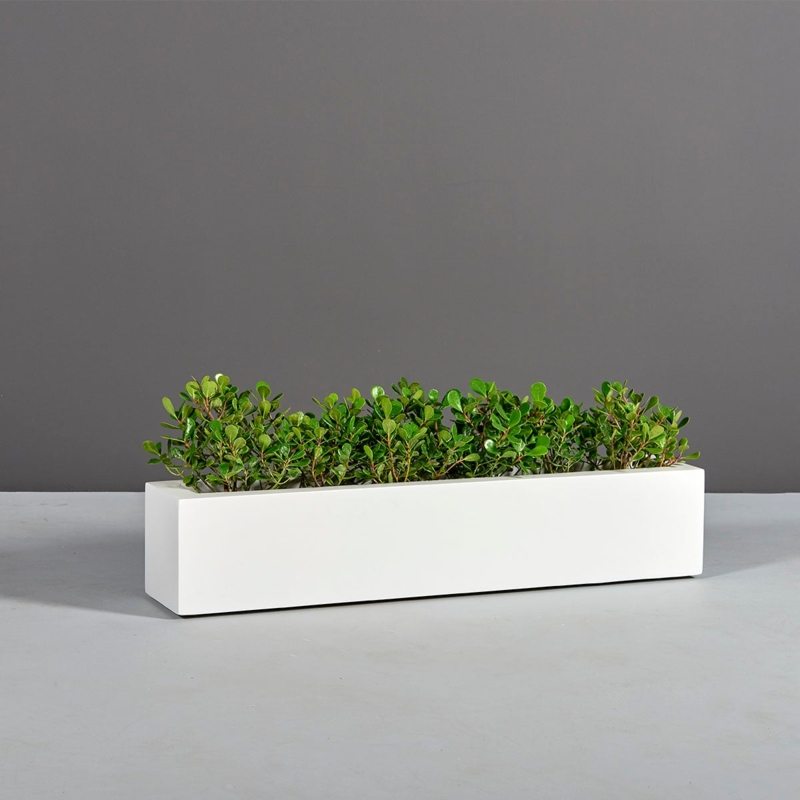 Planter Box Narrow Low Profile White Rectangular Architectural Trough