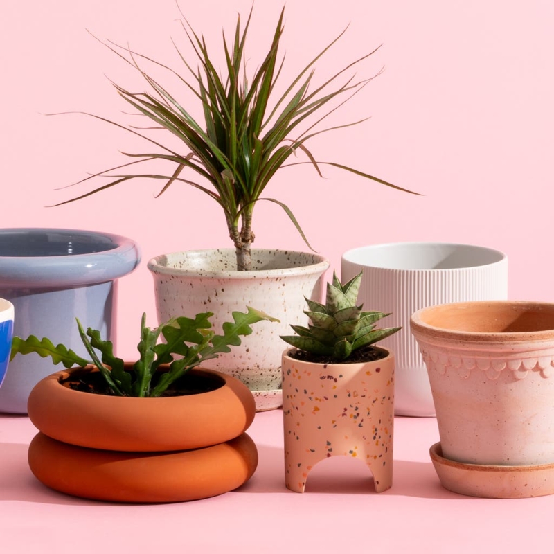 Planter Collection Assorted Silhouettes Ceramic Terracotta Stands