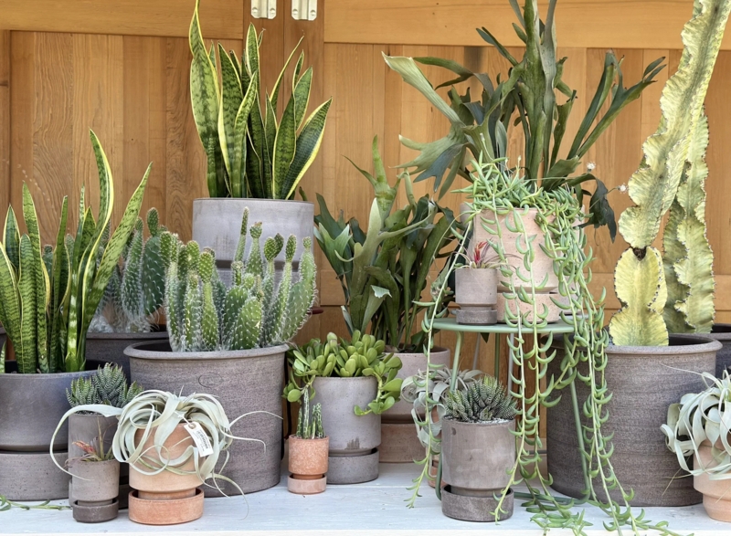 Planter Collection Terracotta Mixed Glazes Industrial Metal Shelving