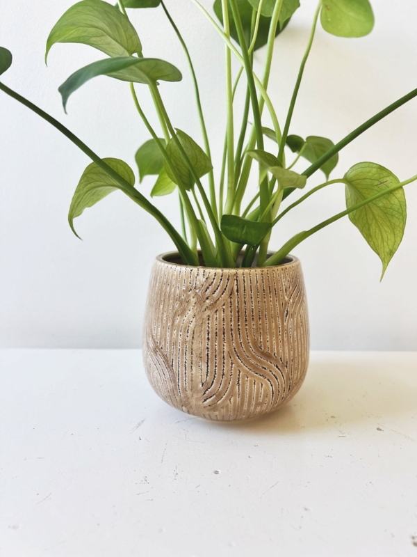 Planter Cream Matte Ceramic Debossed Pattern Etched Details Organic