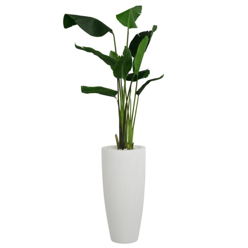Planter Elevated Base Four Legged Stand Wood-Toned Mid Century Modern